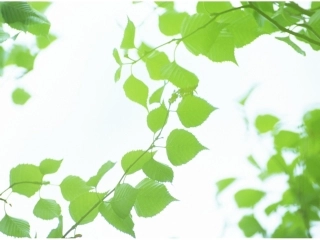 2.《山雨》课件