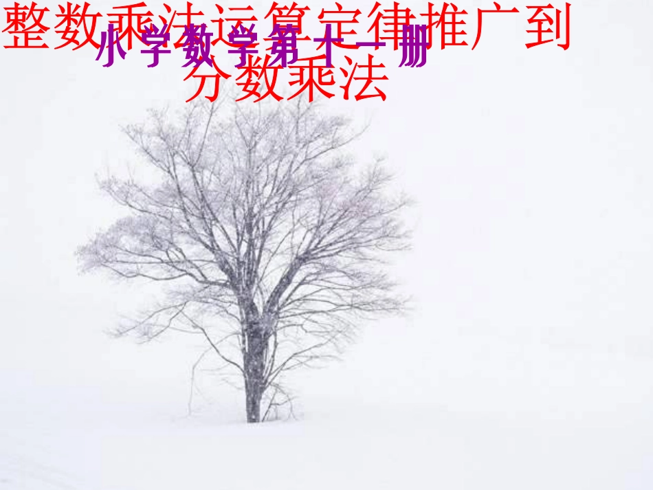 整数乘法运算定律推广到分数乘法课件ppt-PPT课件1_第1页