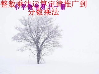 整数乘法运算定律推广到分数乘法课件ppt-PPT课件1