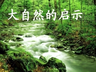 12《大自然的启示》教学课件--12