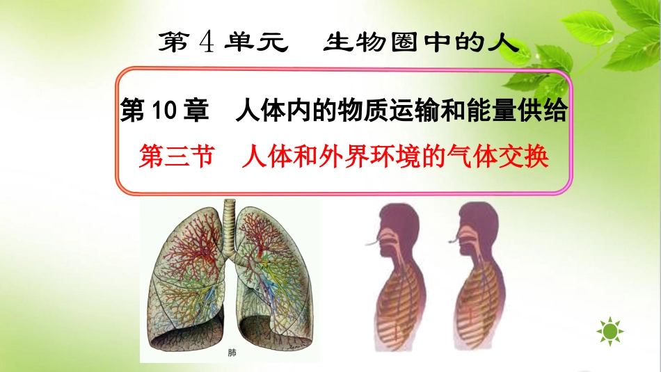 第三节人体和外界环境的气体交换_第1页