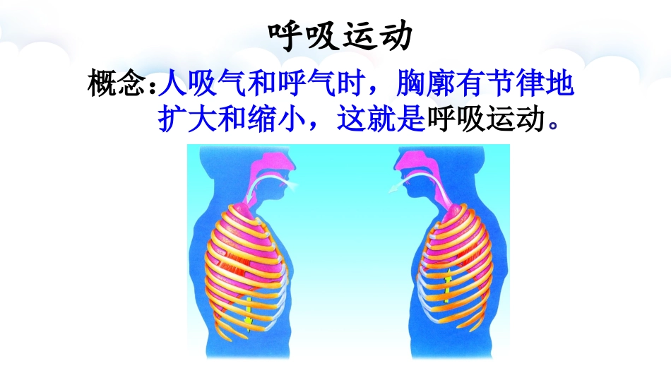 第三节人体和外界环境的气体交换_第2页