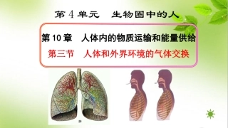 第三节人体和外界环境的气体交换