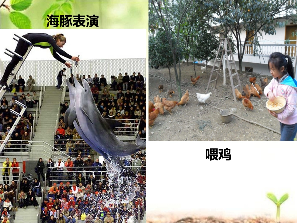 第三节信息的处理-(2)_第2页