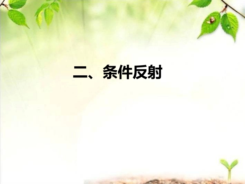 第三节信息的处理-(2)_第3页