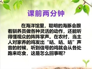 第三节信息的处理-(2)