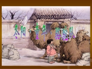 冬阳童年骆驼队