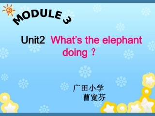 What's-the-elephant-doing？