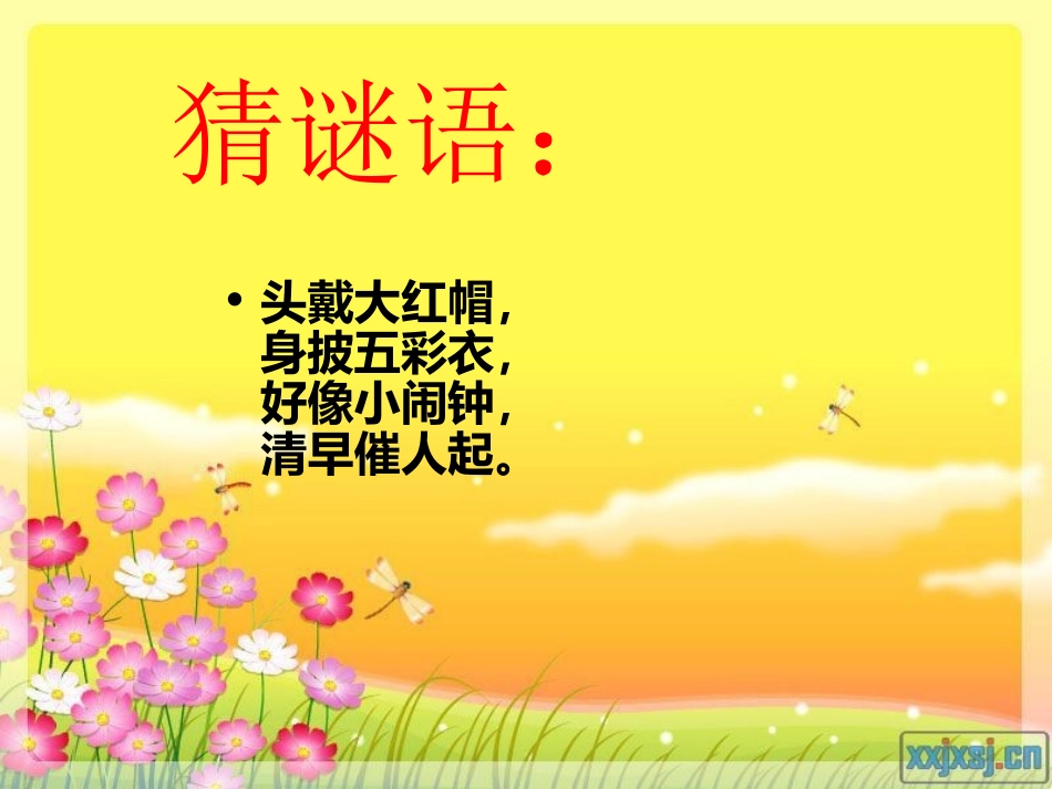 14艳丽的大公鸡_第1页