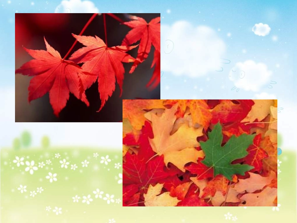 小学美术留住秋天_第3页