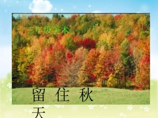 小学美术留住秋天