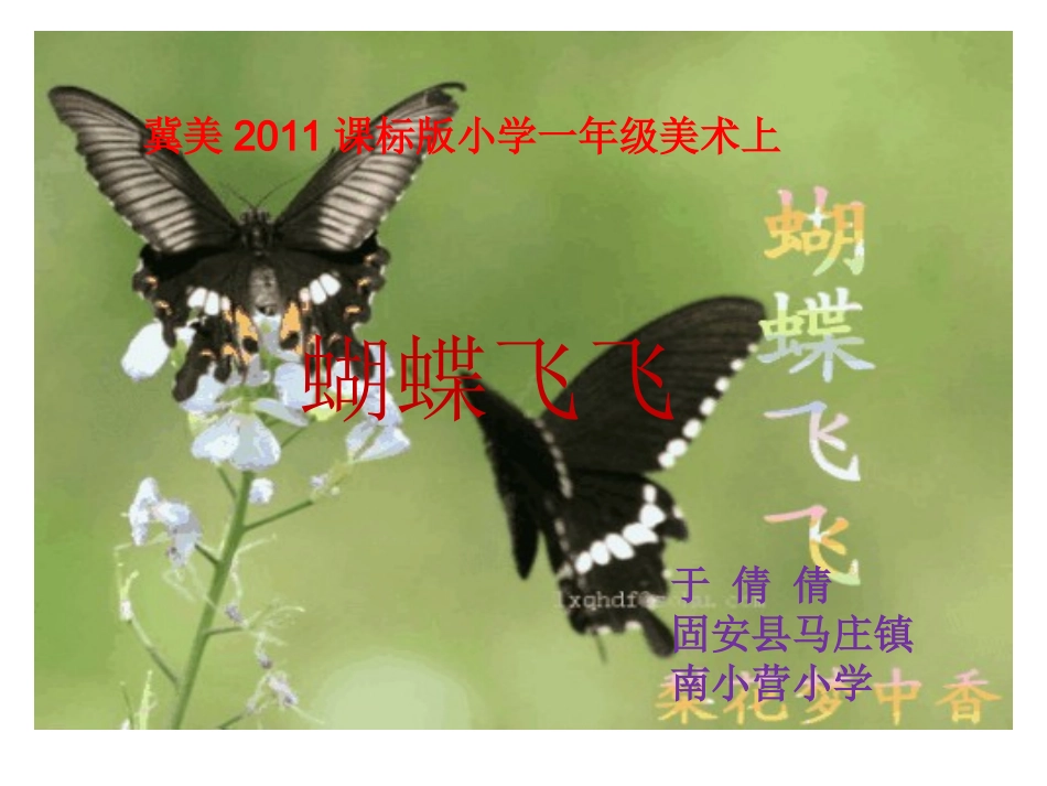 12.蝴蝶飞呀飞_第1页