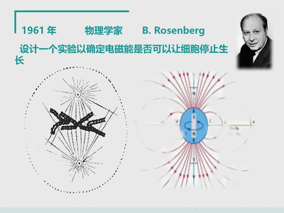第二单元配合物的形成和应用-(2)_第2页