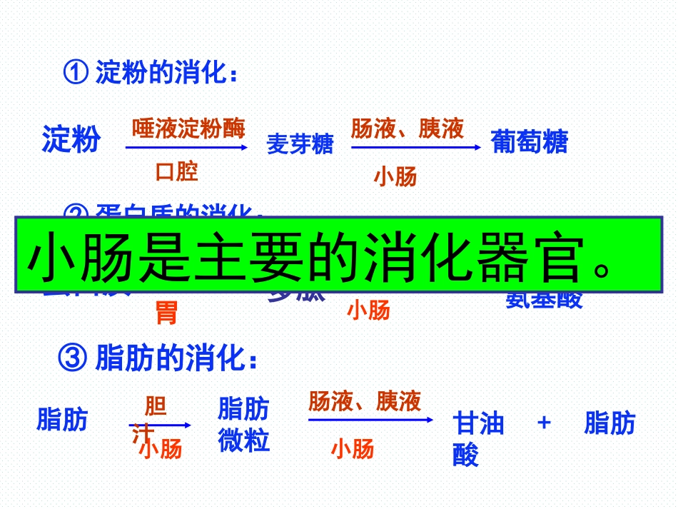 第三节营养物质的吸收和利用_第3页
