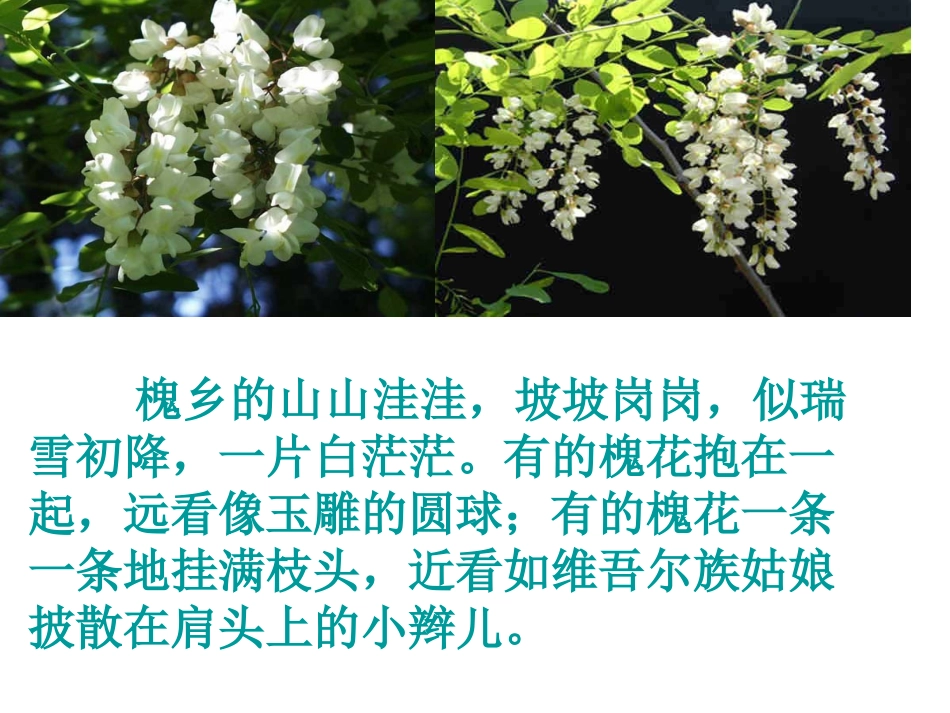 槐乡五月 (3)_第3页