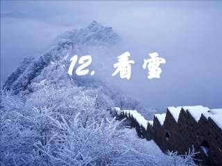 12看雪PPT课件10月