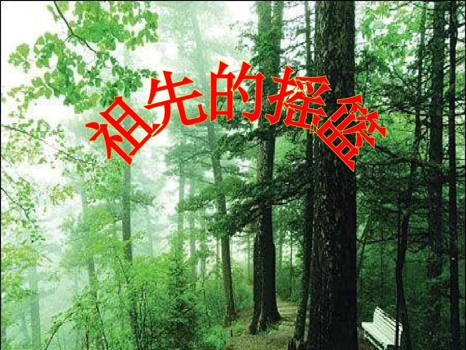 2015春湘教版语文二上《祖先的摇篮》ppt课件4_第1页