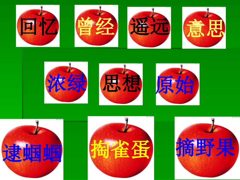 2015春湘教版语文二上《祖先的摇篮》ppt课件4_第3页