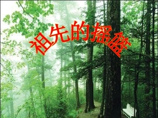 2015春湘教版语文二上《祖先的摇篮》ppt课件4