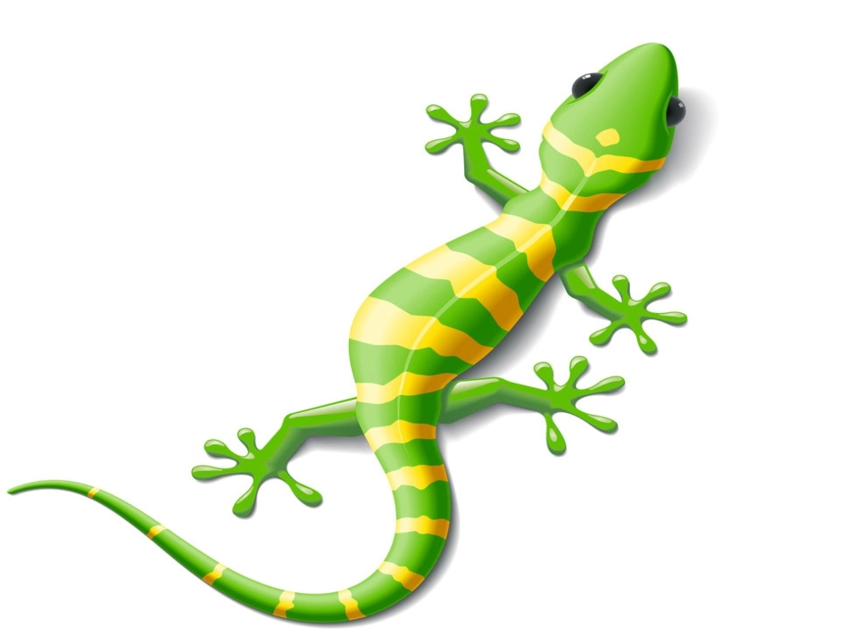 (部编)人教语文2011课标版一年级下册小壁虎借尾巴课件-(5)_第2页