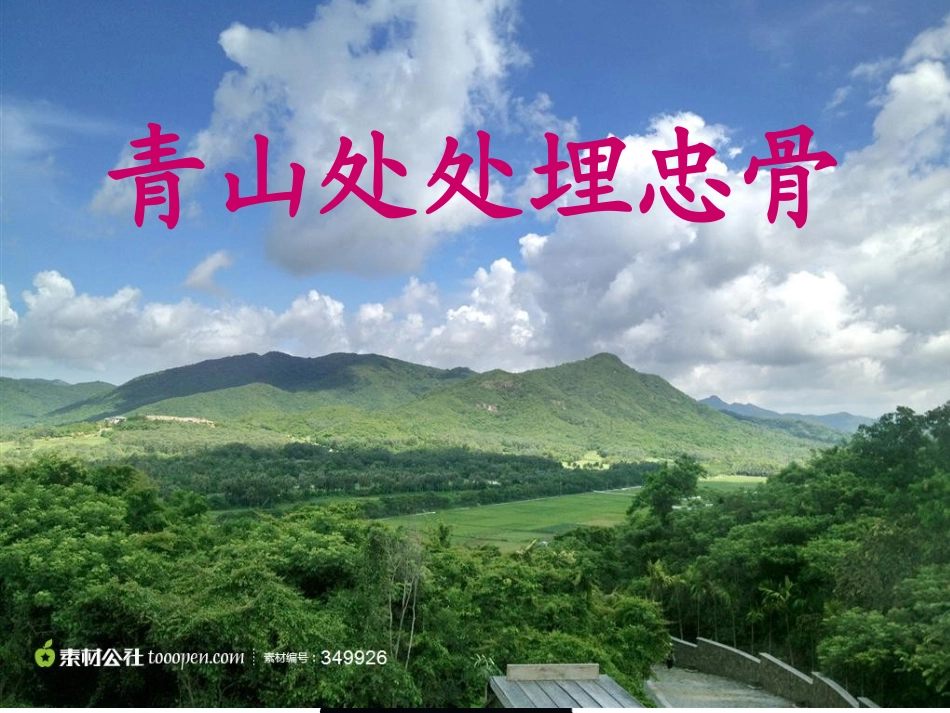 青山处处埋忠骨-(3)_第1页