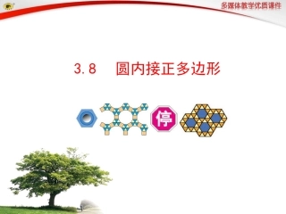 8圆内接正多边形