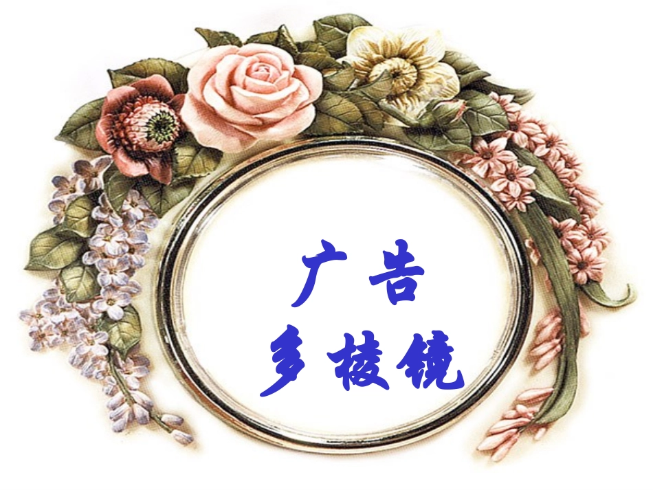 广告多棱镜(用)_第1页