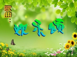 《欢乐颂》课件