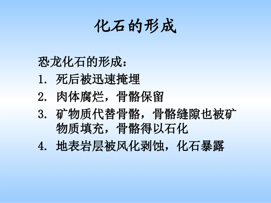 《化石——生物进化的证据》课件2_第3页