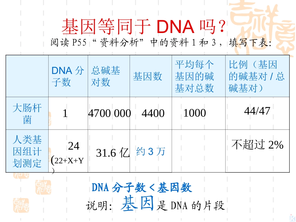 3.4《基因是有遗传效应的DNA片段》课件4_第3页
