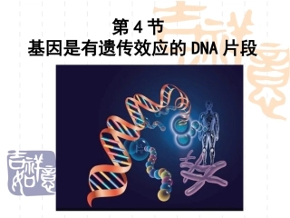 3.4《基因是有遗传效应的DNA片段》课件4