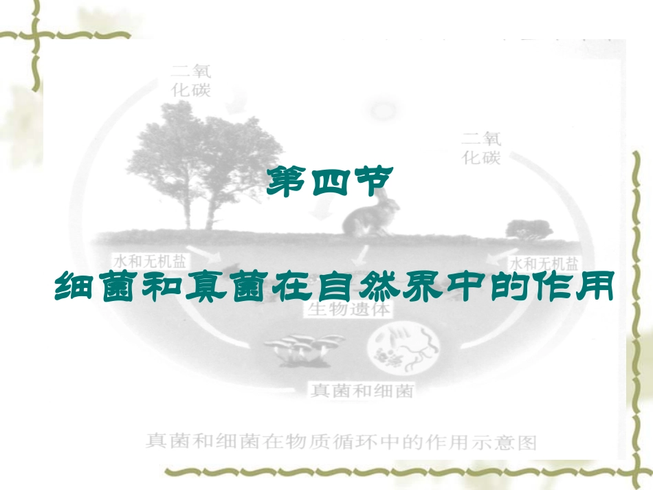 134细菌和真菌在自然界中的作用_第2页