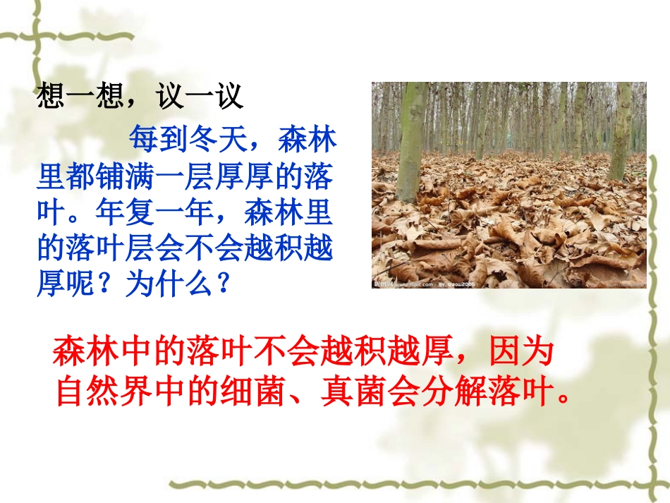 134细菌和真菌在自然界中的作用_第3页