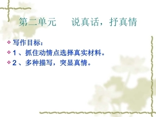 说真话-写真情