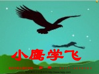 苏教版二年级上册语文《小鹰学飞》公开课课件PPT