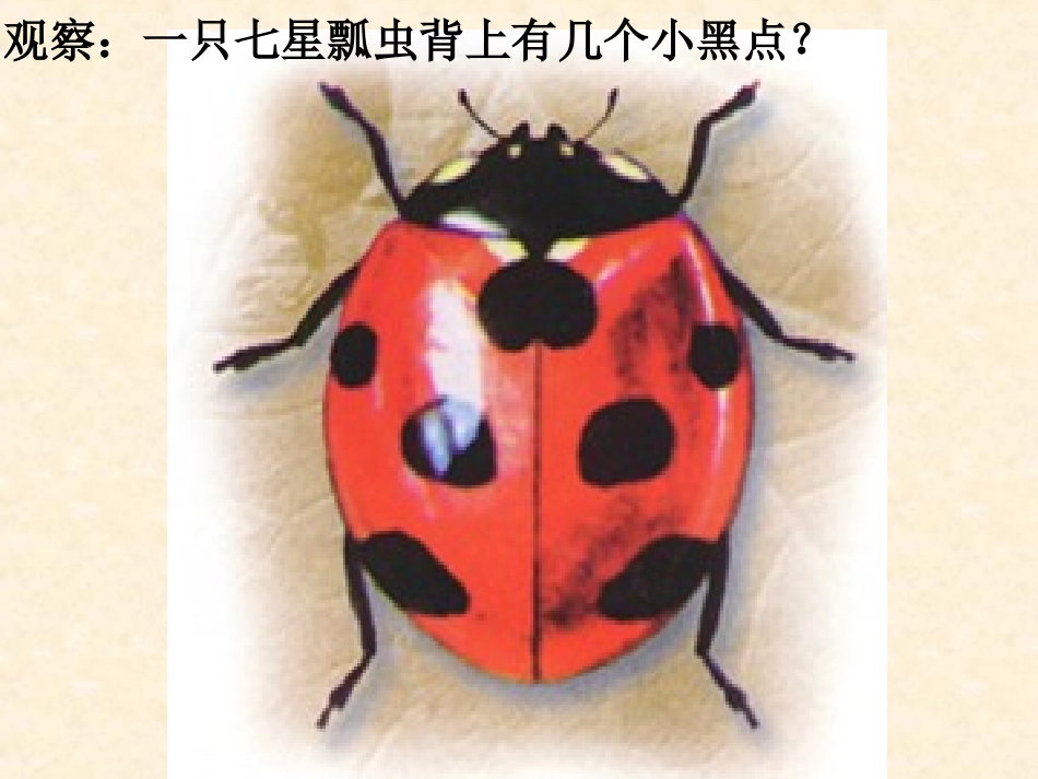 小学数学人教2011课标版二年级７的乘法口诀教学设计_第3页