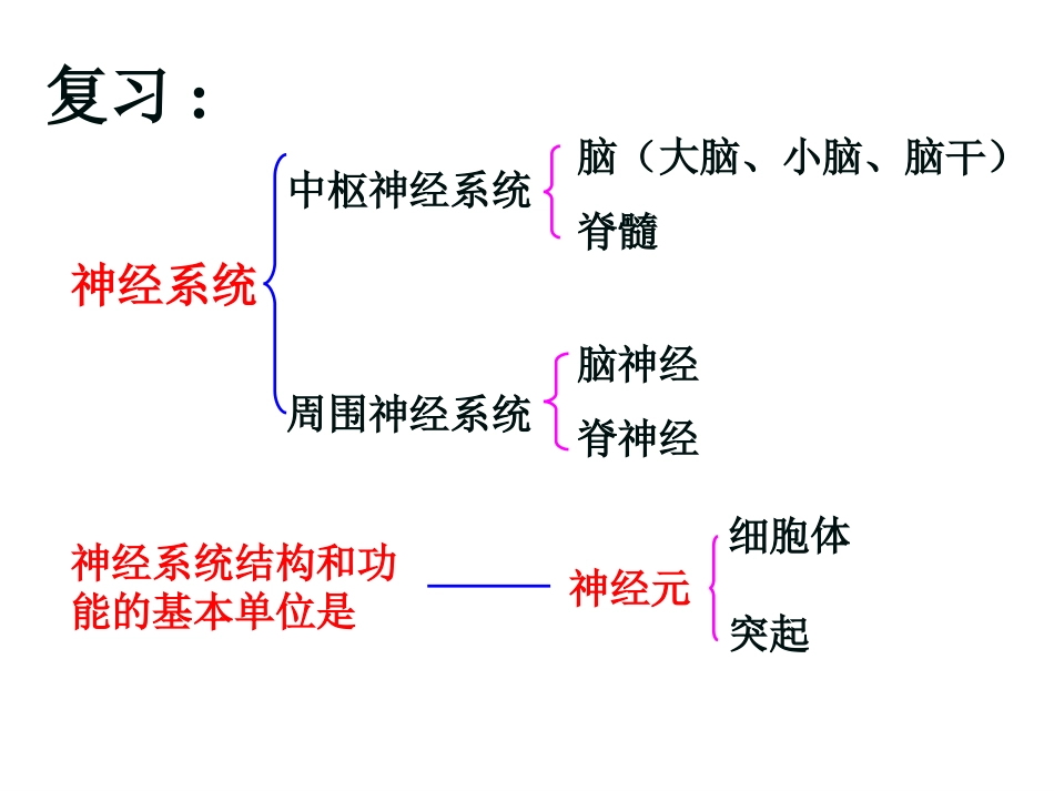 七年级生物第三节-神经调节的基本方式课件全国通用_第1页