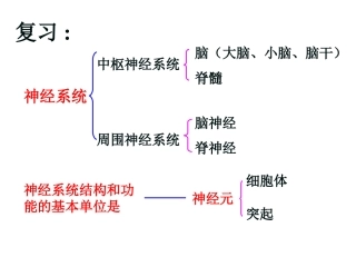七年级生物第三节-神经调节的基本方式课件全国通用