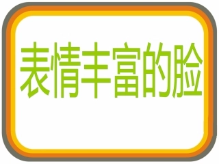 《表情丰富的脸》课件