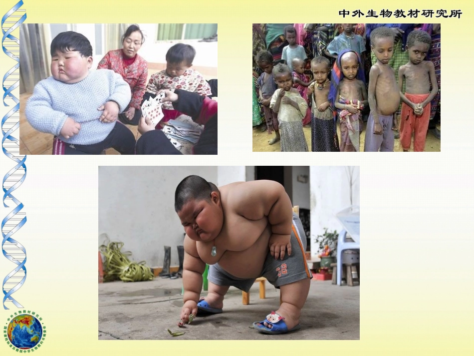 第三节膳食指南与食品安全-(2)_第1页