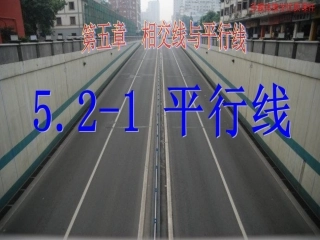 5.2.1平行线的判定(1)