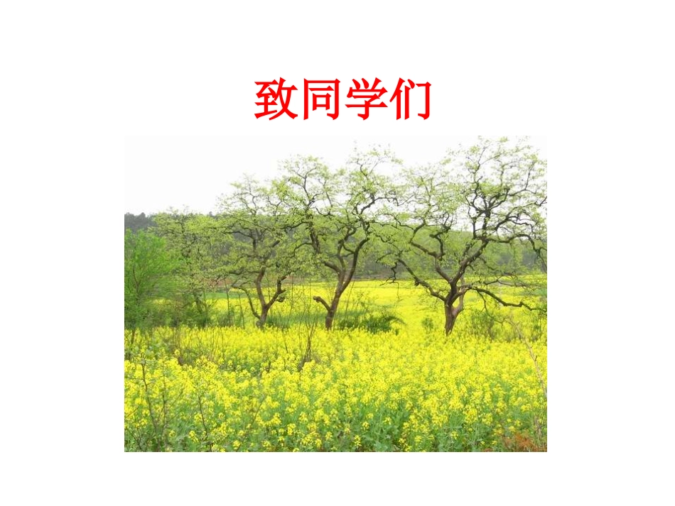 致同学们-(3)_第2页