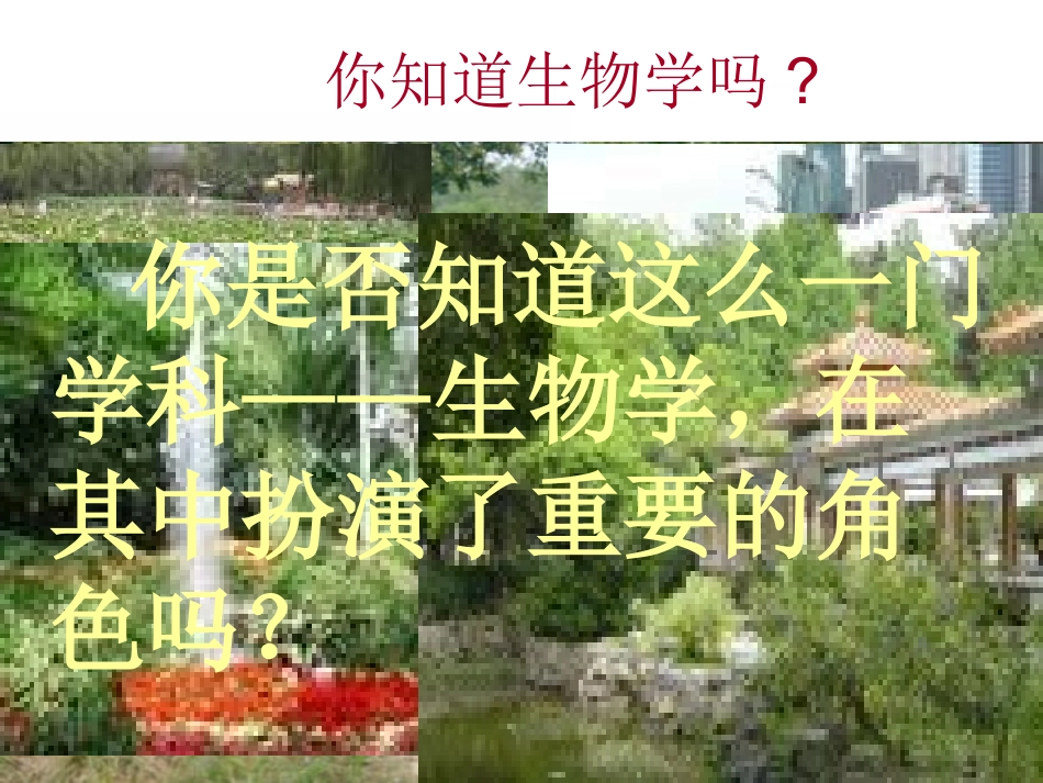 致同学们-(3)_第3页