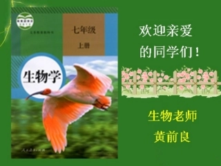 致同学们-(3)
