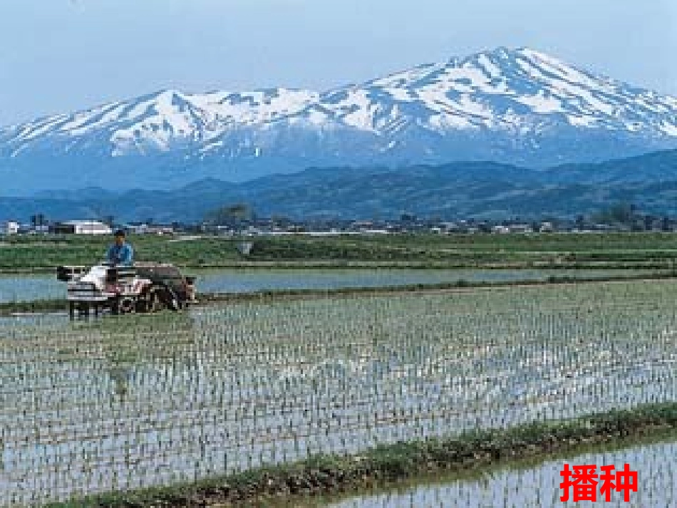 二年级语文上册课件-34.农业的变化真大_第1页