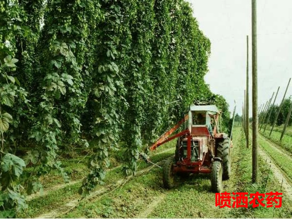 二年级语文上册课件-34.农业的变化真大_第3页