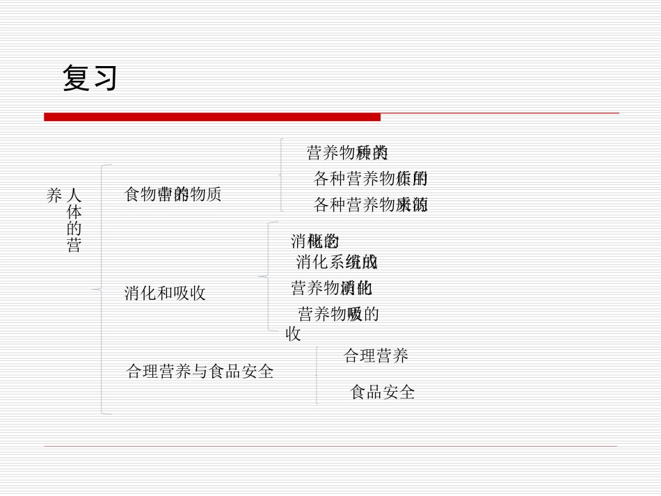 第三节关注合理营养与食品安全-(2)_第3页