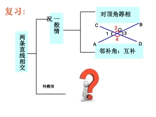 5.1.2垂线(1).1.2垂线
