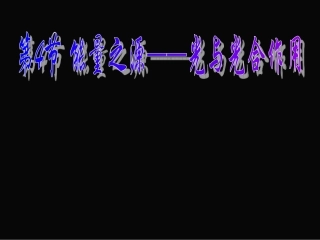 5.4-《能量之源──光与光合作用》课件1