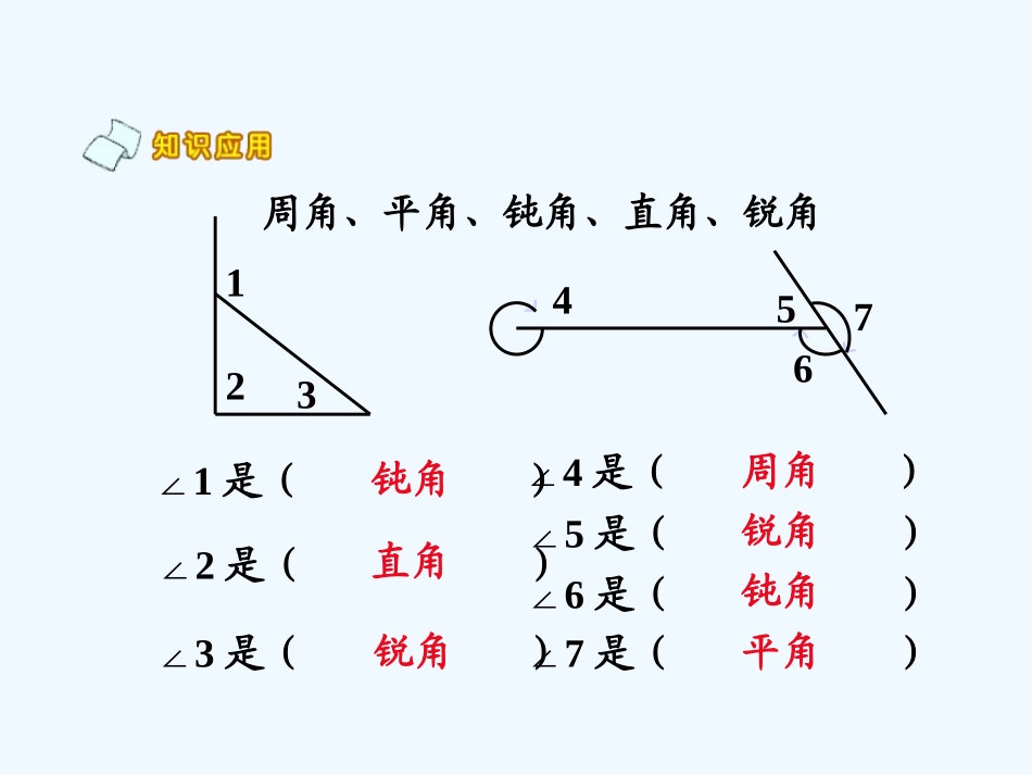 小学数学北师大2011课标版四年级角的度量(二)_第2页